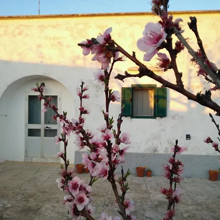 Itria Valley Dream